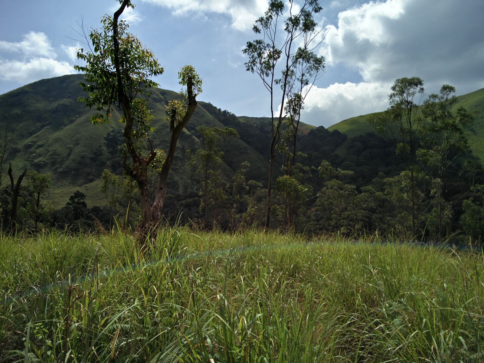 OnePlus 2 sample photo. Cool, nature, real, super photography