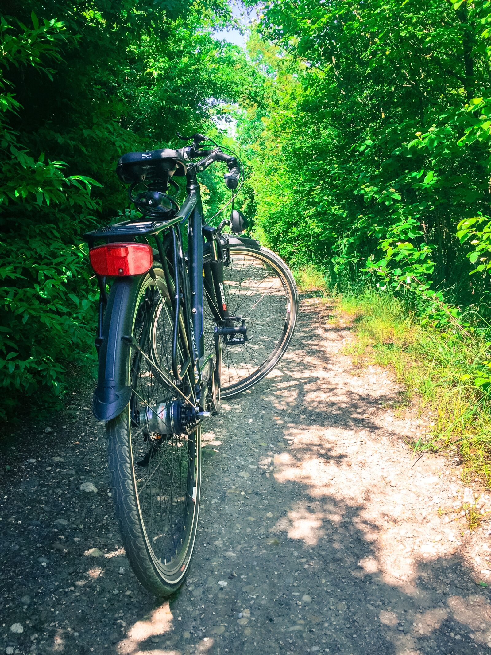 Apple iPhone 6 sample photo. Bike, tourism, forest road photography