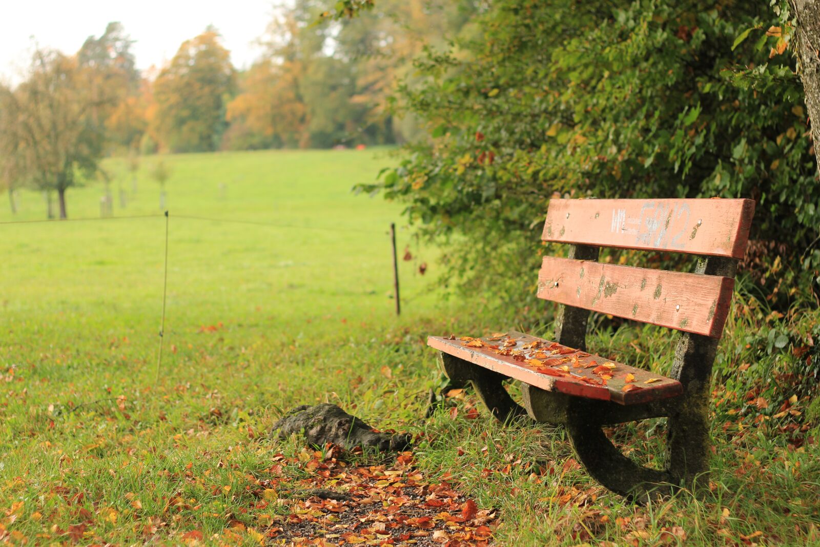 Canon EOS 60D sample photo. Autumn, fall, rain photography