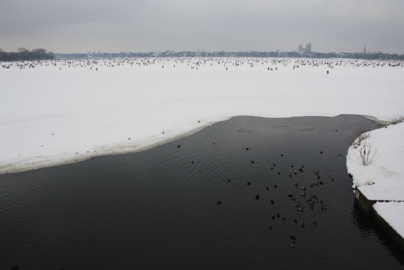 Canon EOS 1000D (EOS Digital Rebel XS / EOS Kiss F) sample photo. Hamburg, ice, winter photography
