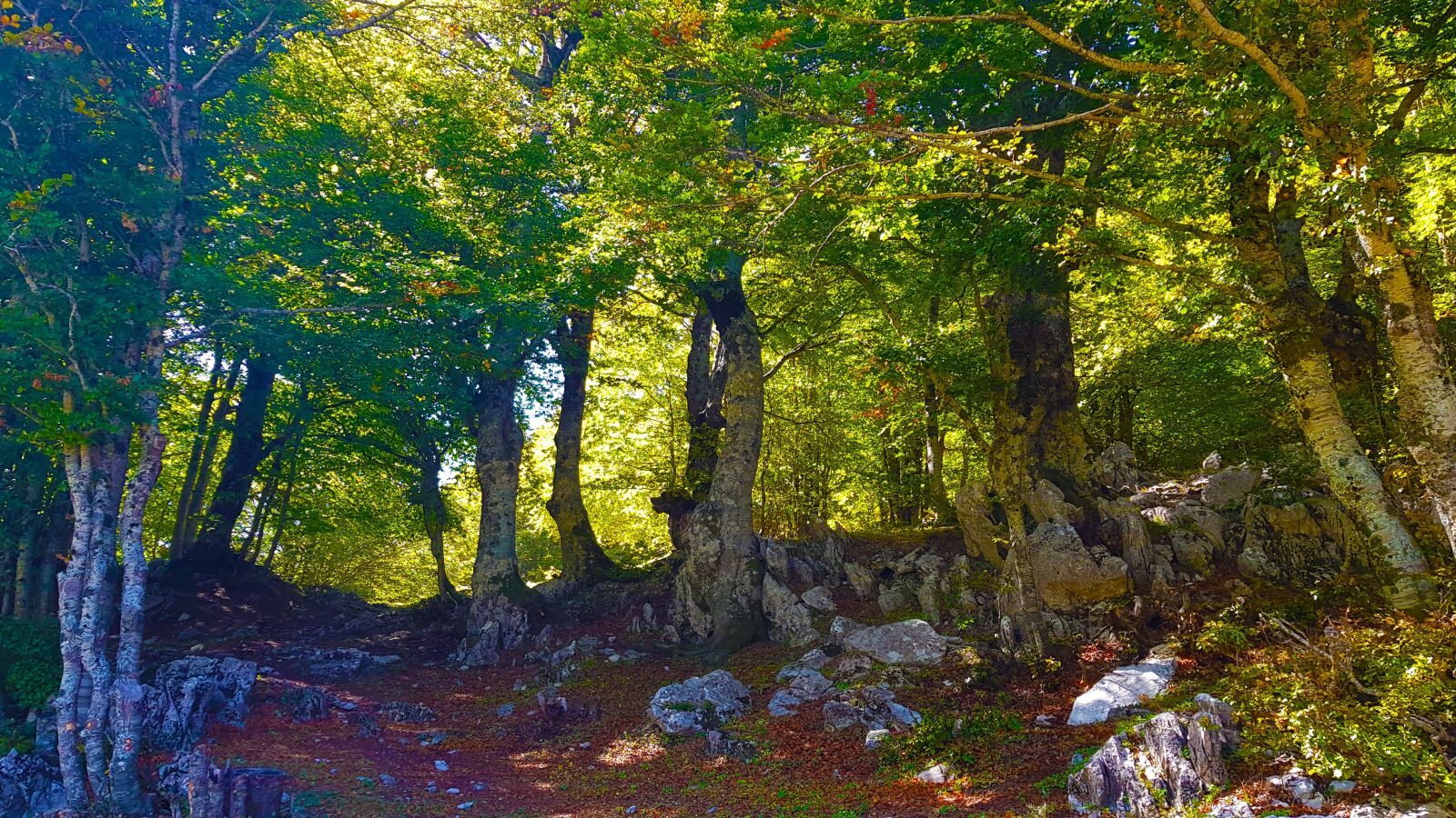 Samsung SM-G955F sample photo. Pollino national park, monetti photography