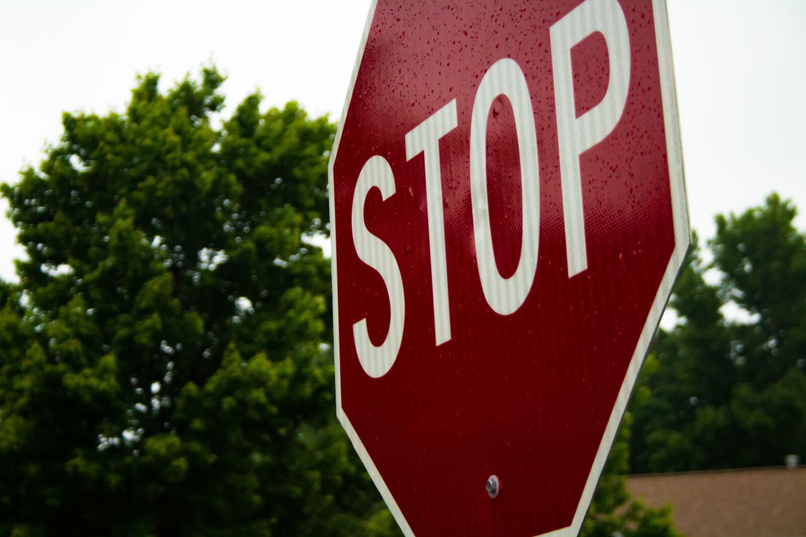Canon EF-S 18-55mm F3.5-5.6 II sample photo. Stop, sign, stop sign photography
