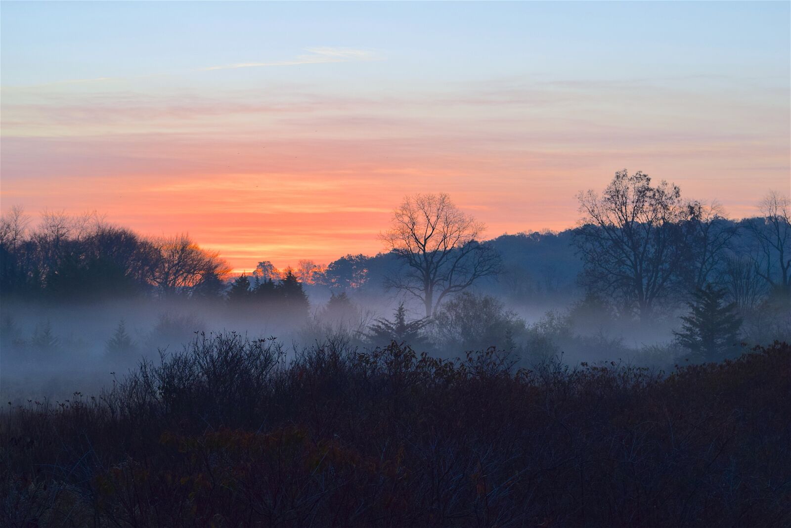 Nikon D3300 sample photo. Sunrise, fog, trees photography