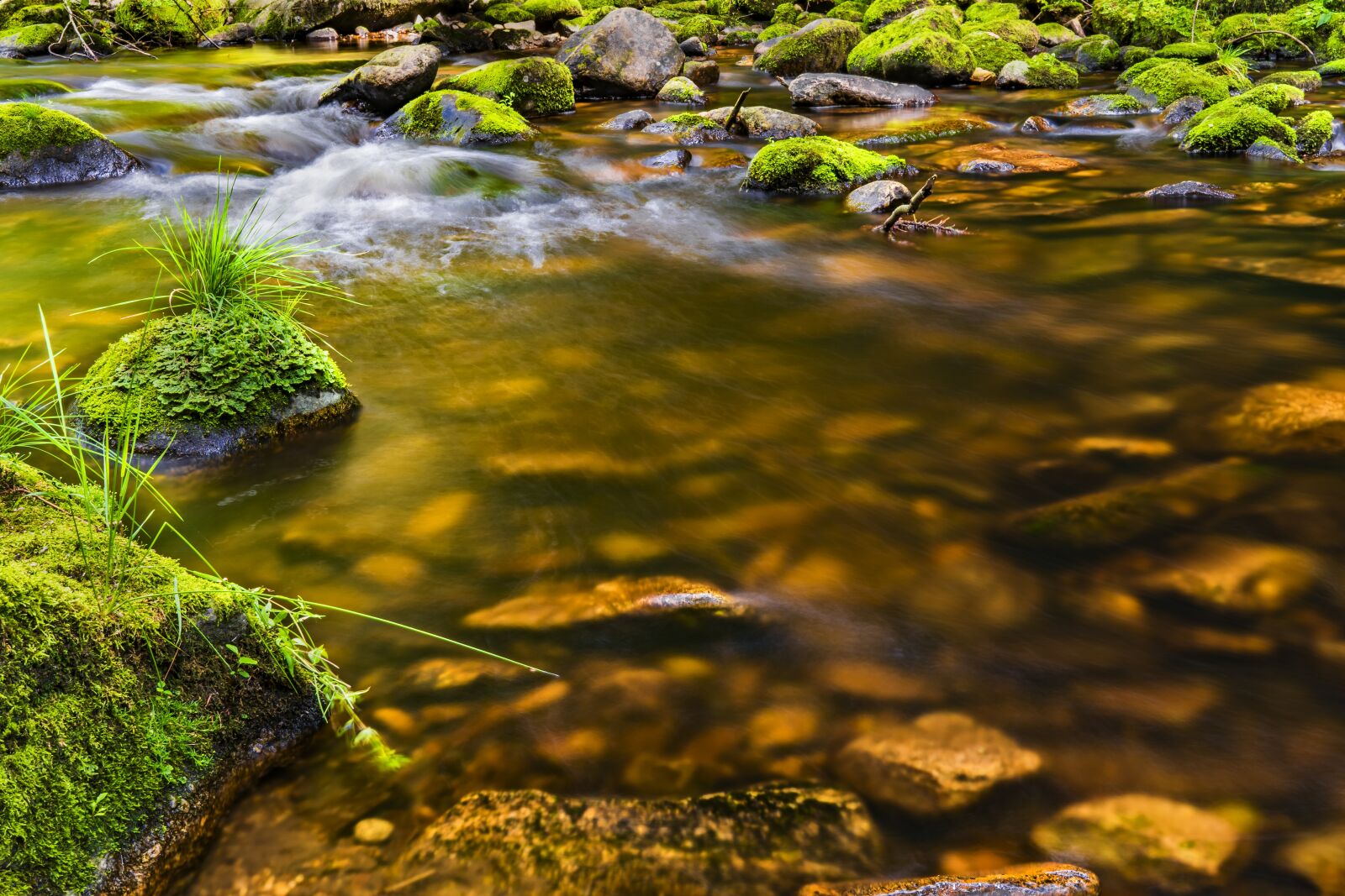Sony a6300 + Sigma 30mm F2.8 EX DN sample photo. Water, river, nature photography