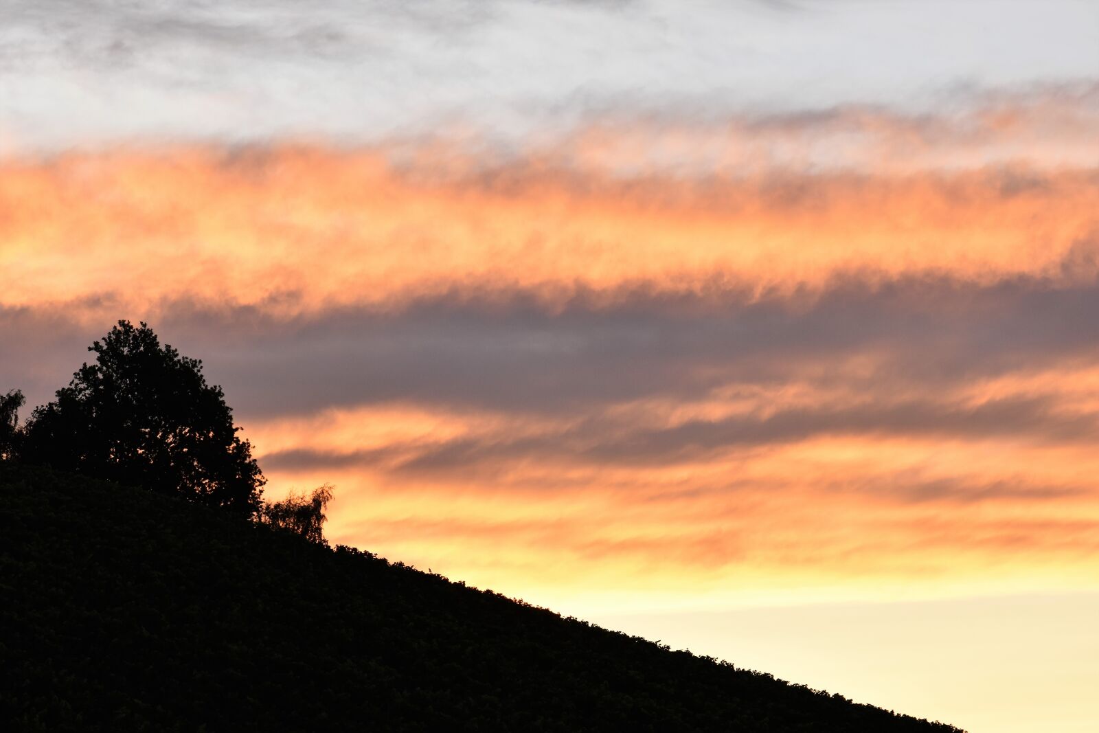Nikon D5500 sample photo. Sky, mood, clouds photography