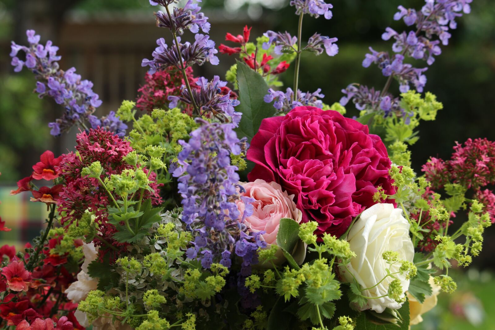 Canon EF-S 55-250mm F4-5.6 IS STM sample photo. Bouquet, summer, summer bouquet photography