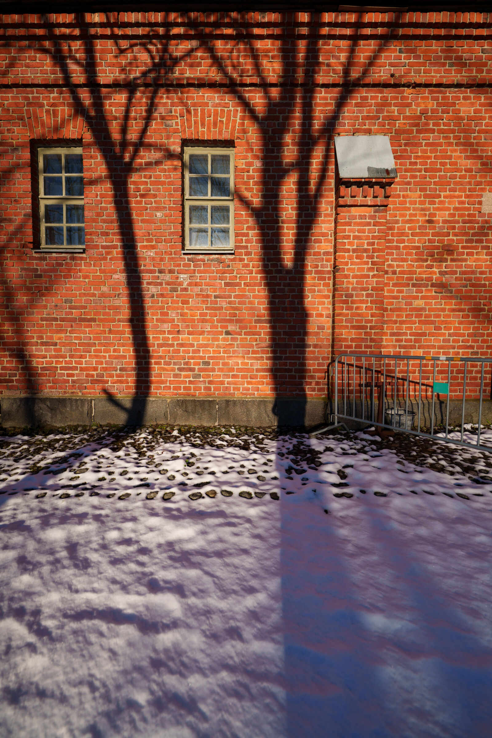 Sigma 14mm F1.4 DG DN sample photo. Tree shadows photography
