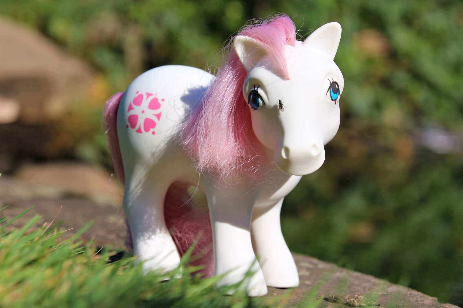 Canon EOS 700D (EOS Rebel T5i / EOS Kiss X7i) sample photo. My little pony, toys photography