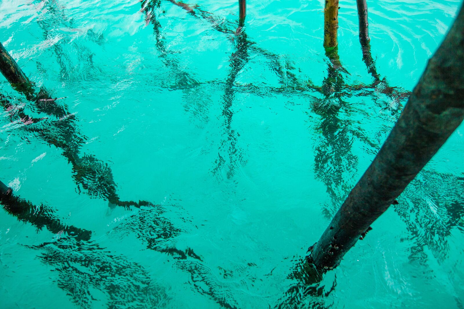 Canon EOS 5D Mark II sample photo. Water, transparency, turquoise photography