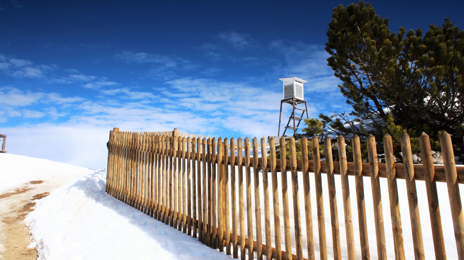 Canon EF-S 18-55mm F3.5-5.6 IS II sample photo. Fence, perch, snow photography