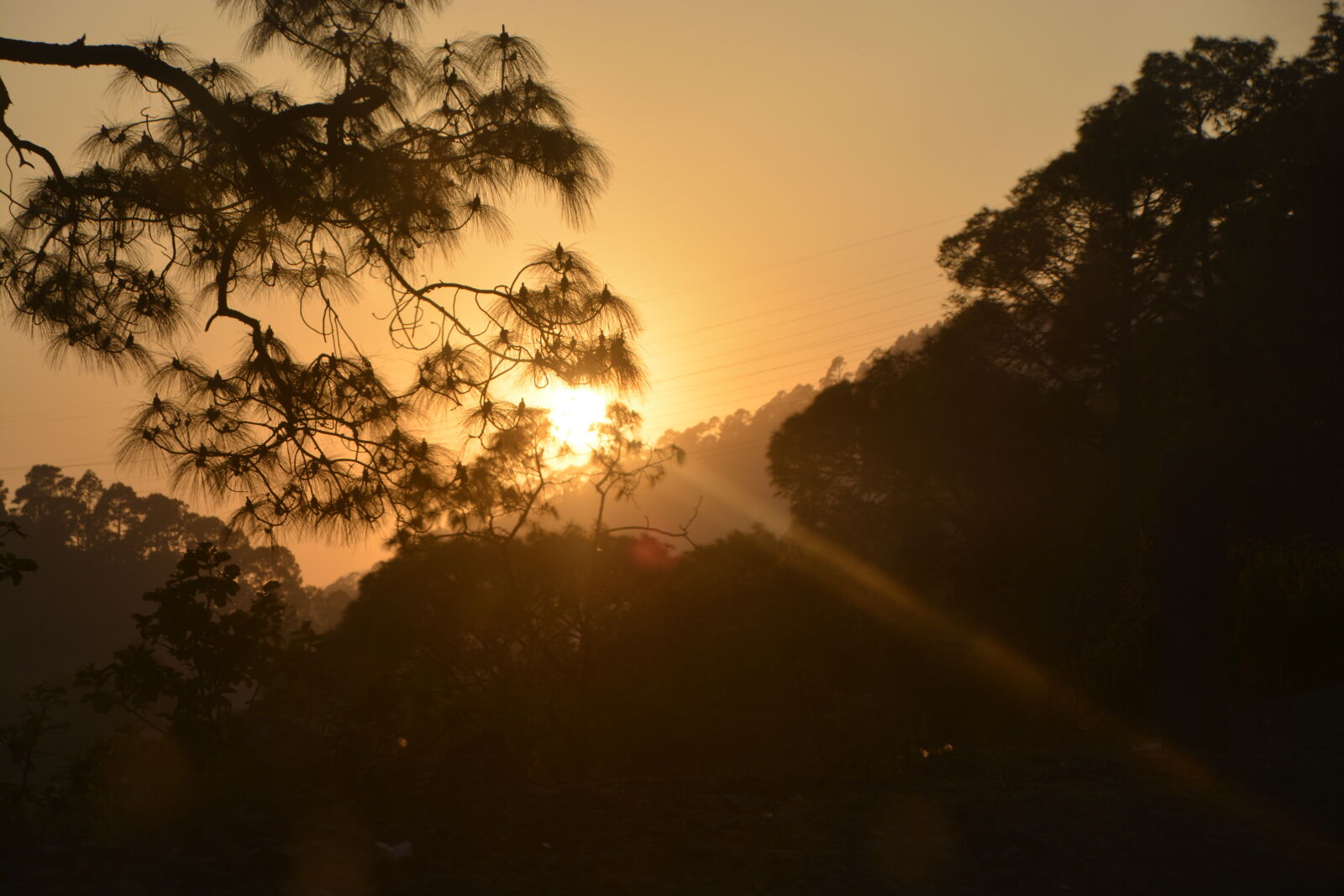 Nikon D5200 sample photo