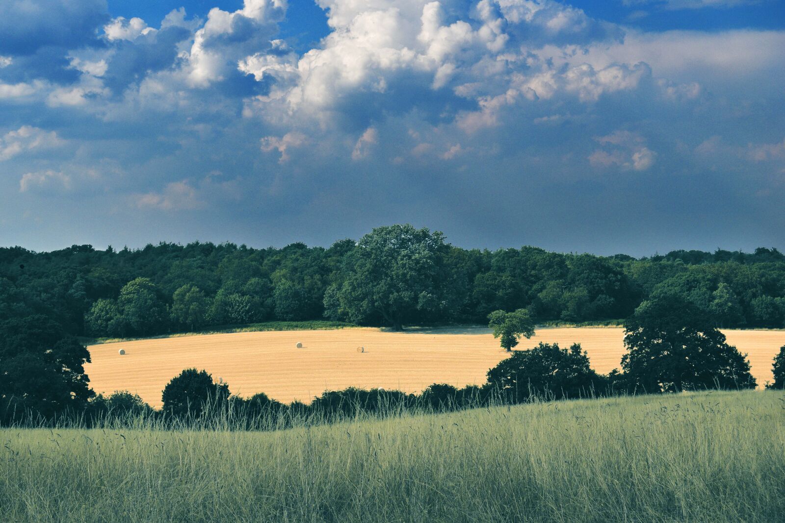 Nikon D3300 sample photo. Country side, field, landscape photography