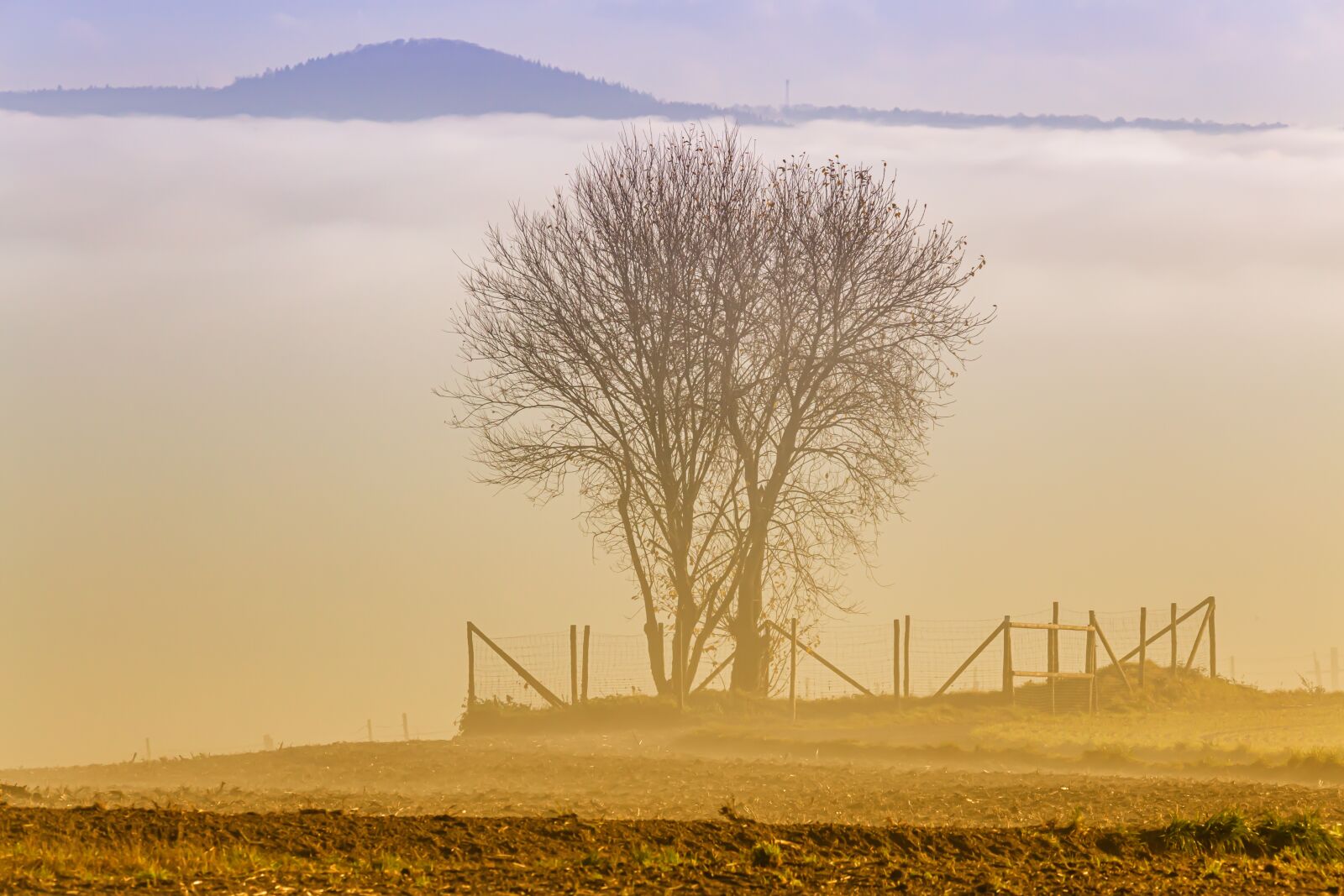 Canon EOS 6D sample photo. Fog, landscape, nature photography