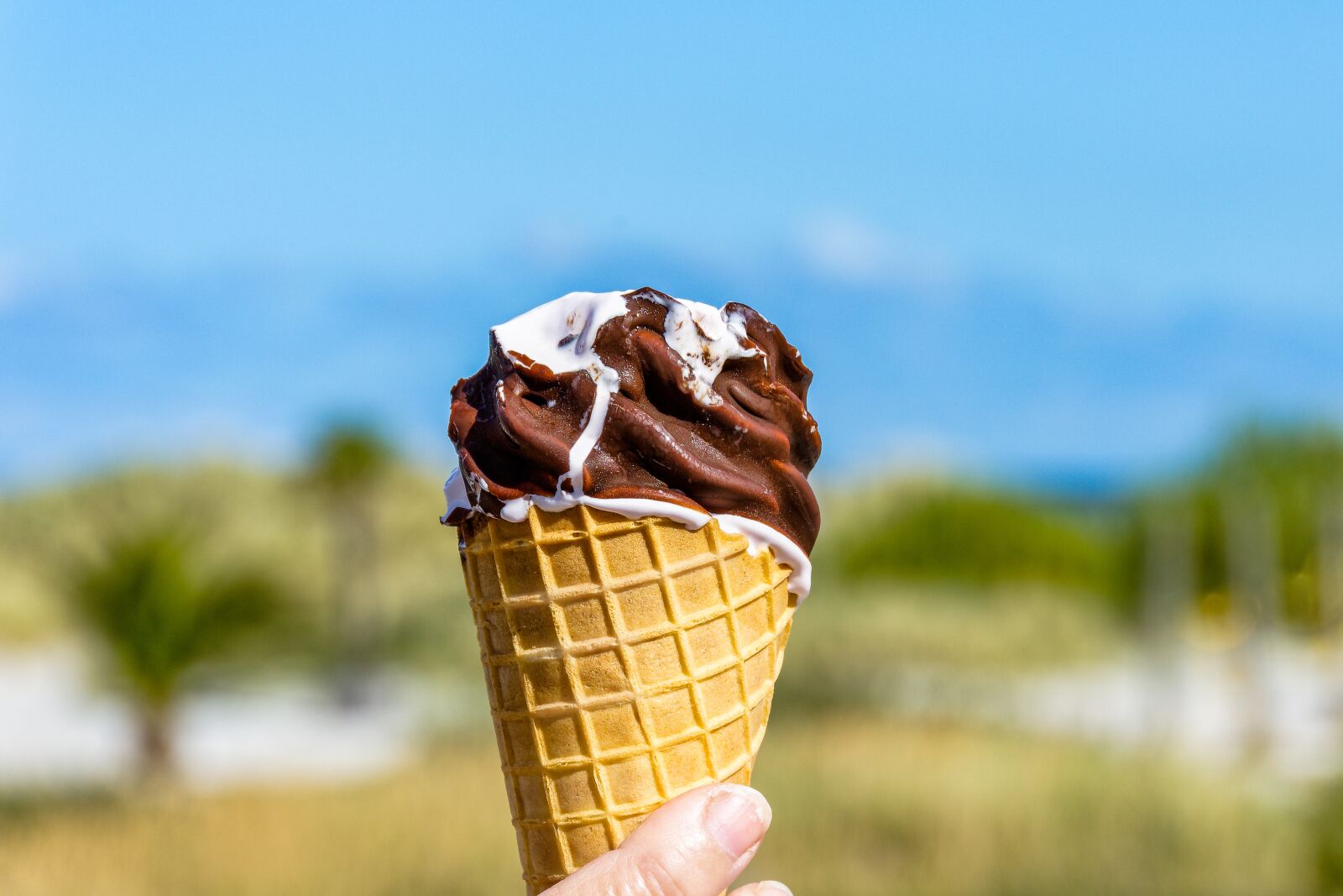 Nikon D7200 sample photo. Ice, cream, bag photography