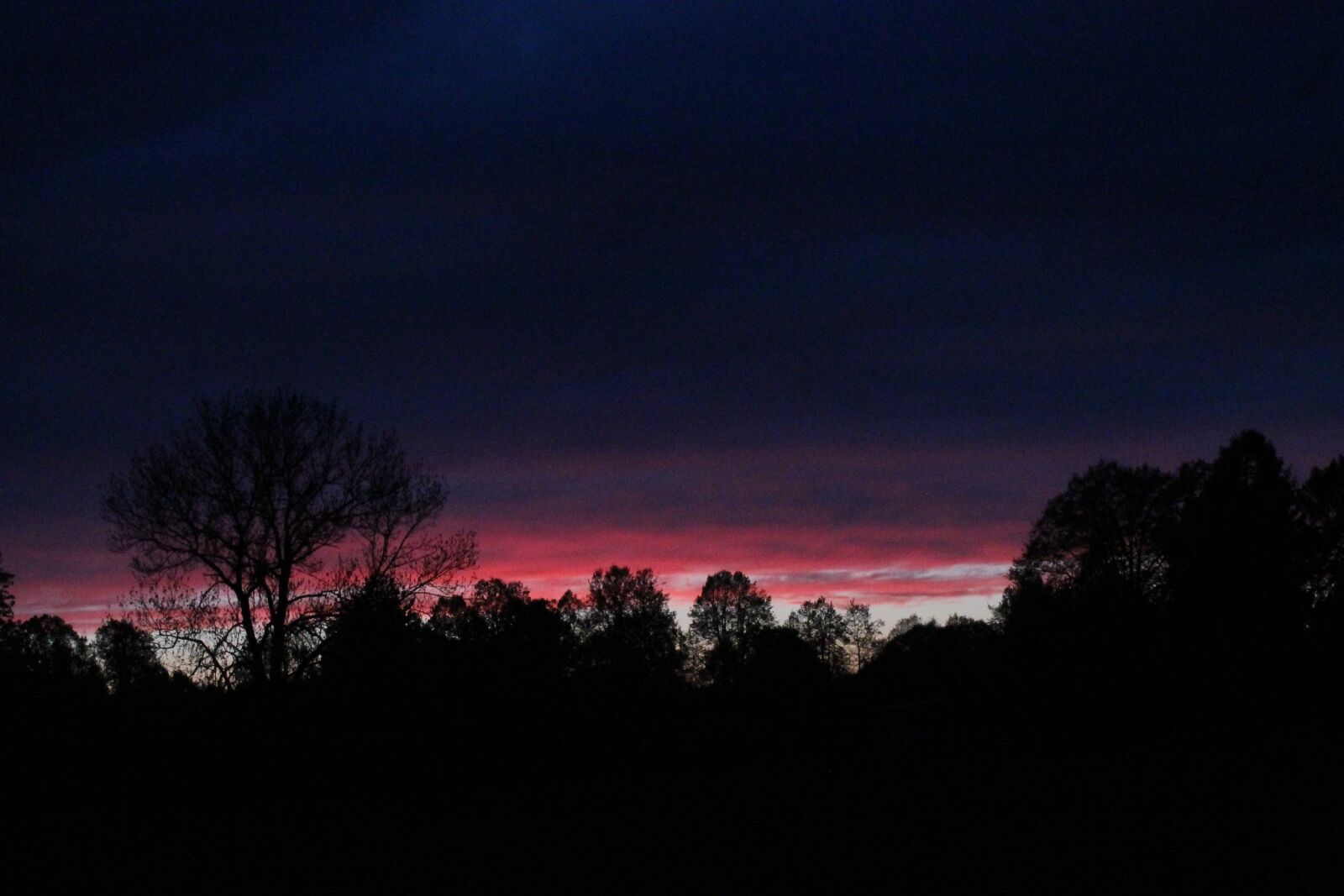 Canon EOS 1100D (EOS Rebel T3 / EOS Kiss X50) sample photo. Dark clouds, night, trees photography