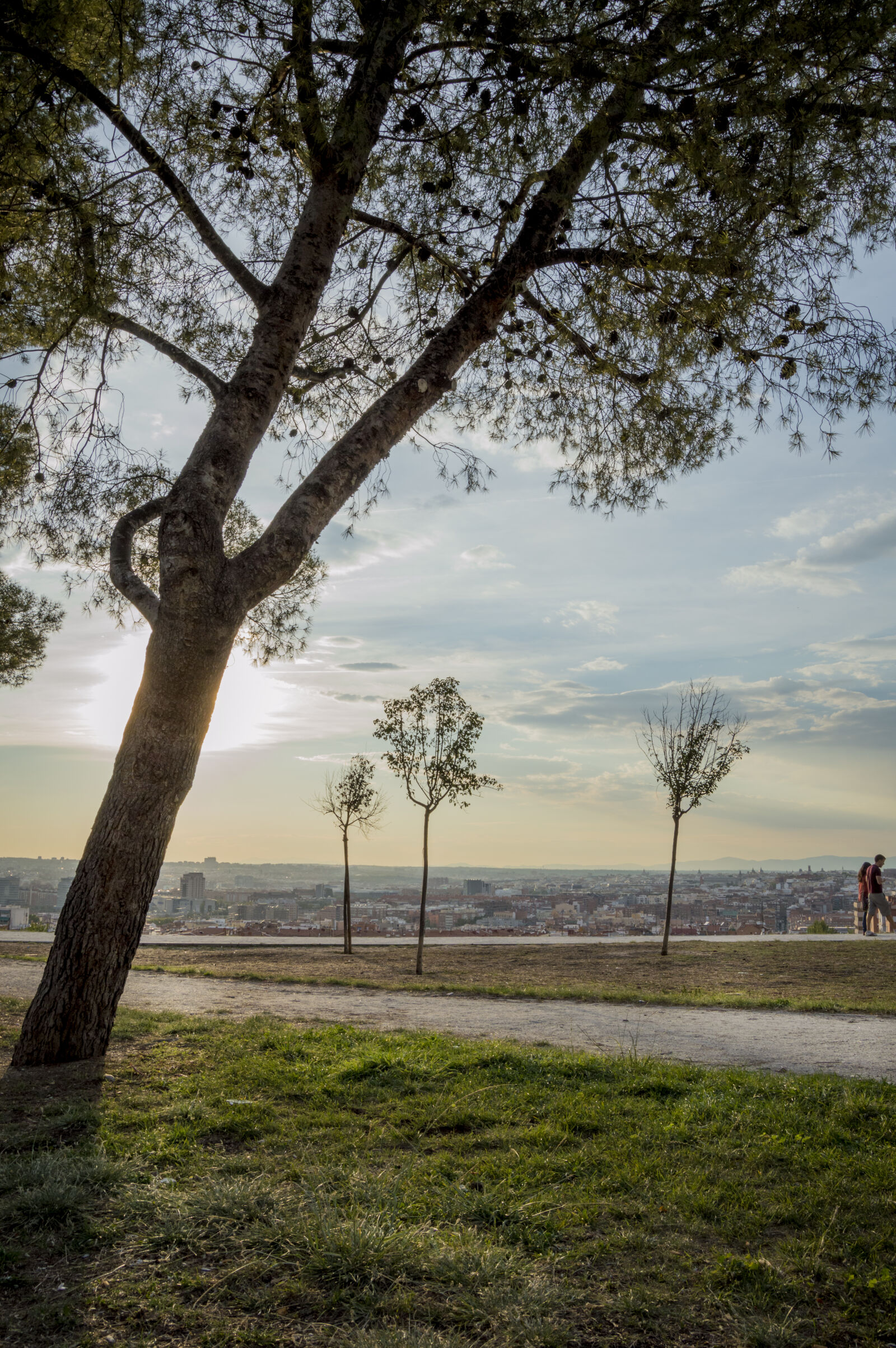 Nikon D3200 sample photo. City, park, trees photography