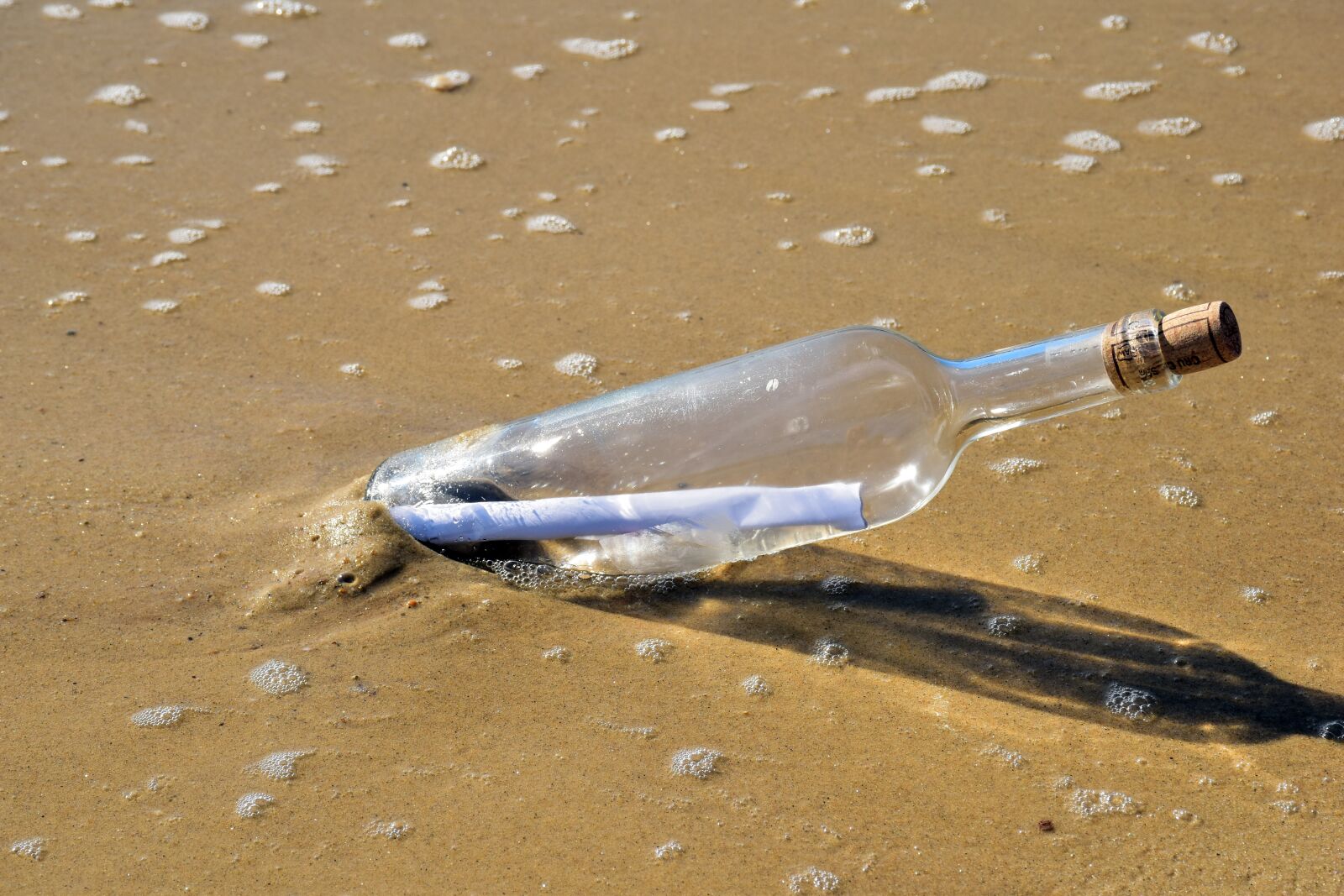 Nikon D5500 sample photo. Message in a bottle photography