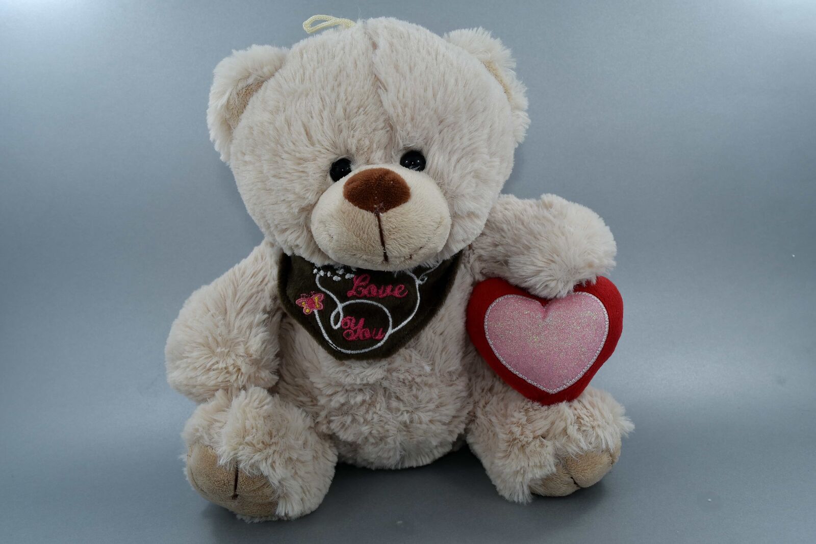 Nikon D5500 sample photo. Heart, love, message, teddy photography