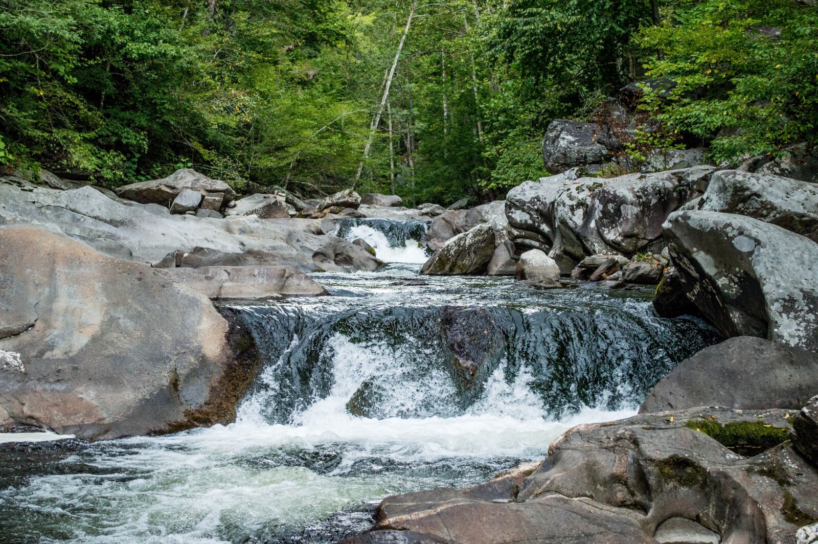Nikon D3200 sample photo. Wilderness, river, outdoor photography