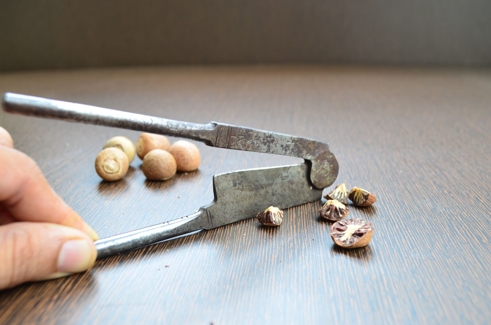 Nikon D5100 sample photo. Nut cracker, betel nut photography