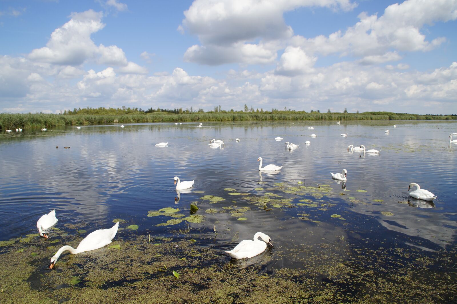 Sony SLT-A58 sample photo. Landscape, spring lake, nature photography