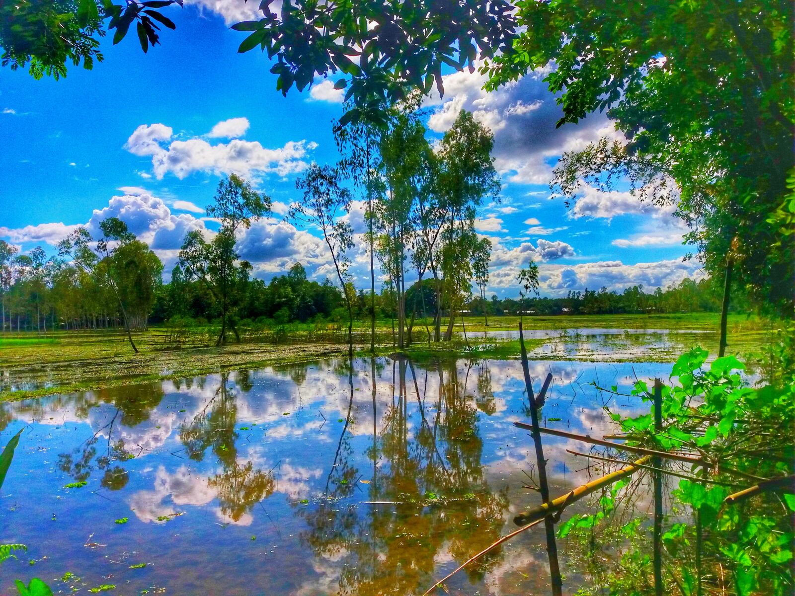 Samsung SM-J500H sample photo. Bangadesh, village, way photography