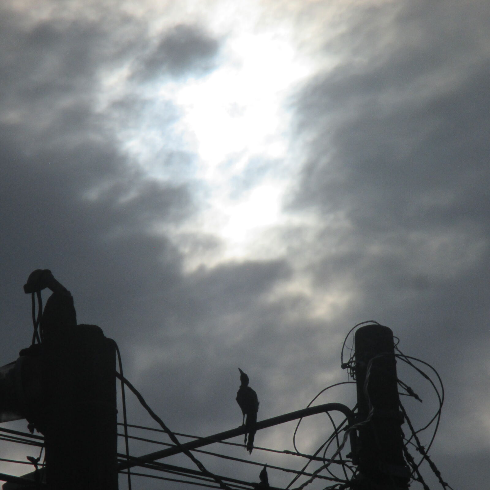 Canon PowerShot ELPH 130 IS (IXUS 140 / IXY 110F) sample photo