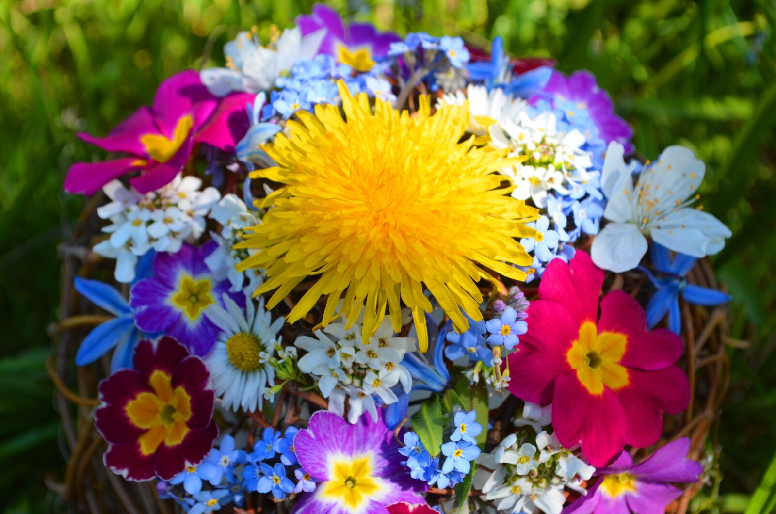 Nikon D5100 sample photo. Easter, spring, flowers photography