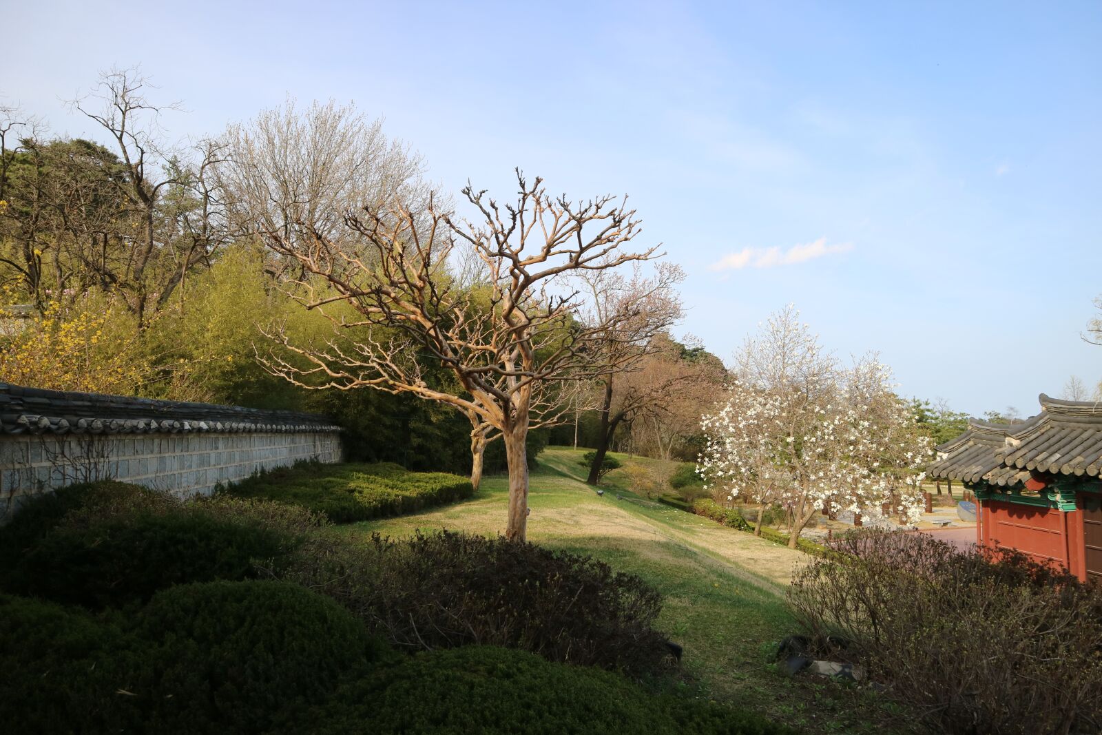 Canon EOS M3 sample photo. Wood, nature, scenery photography