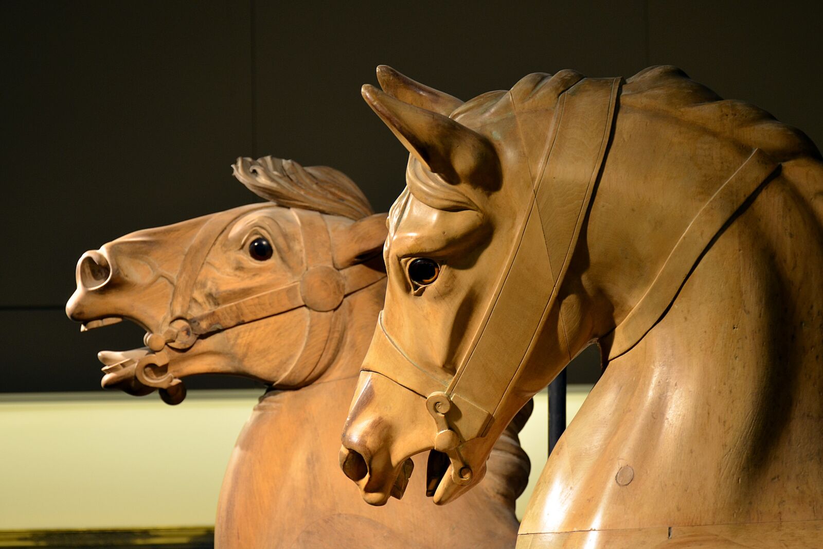Nikon D7000 sample photo. France, oise, chantilly photography