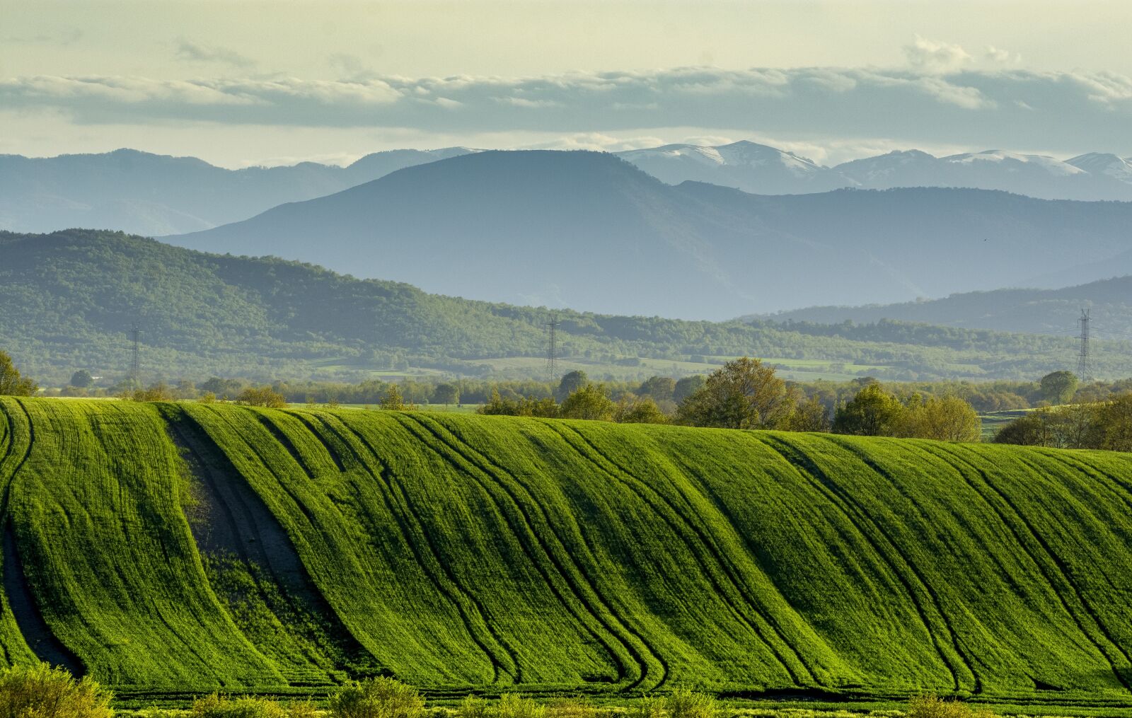 Nikon D7200 sample photo. Fields, green, mountains photography
