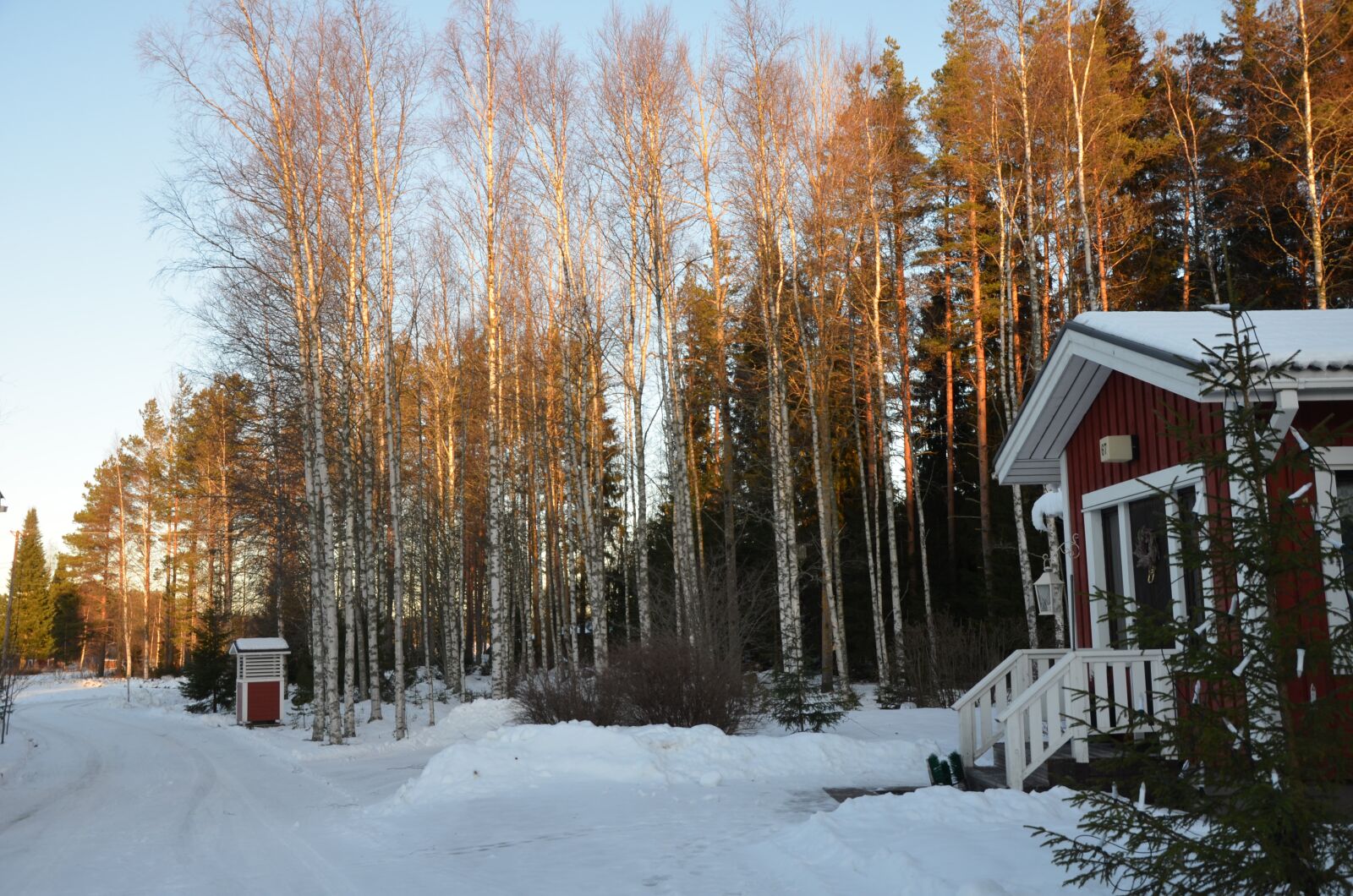 Nikon D5100 sample photo. Snow, winter, wood photography