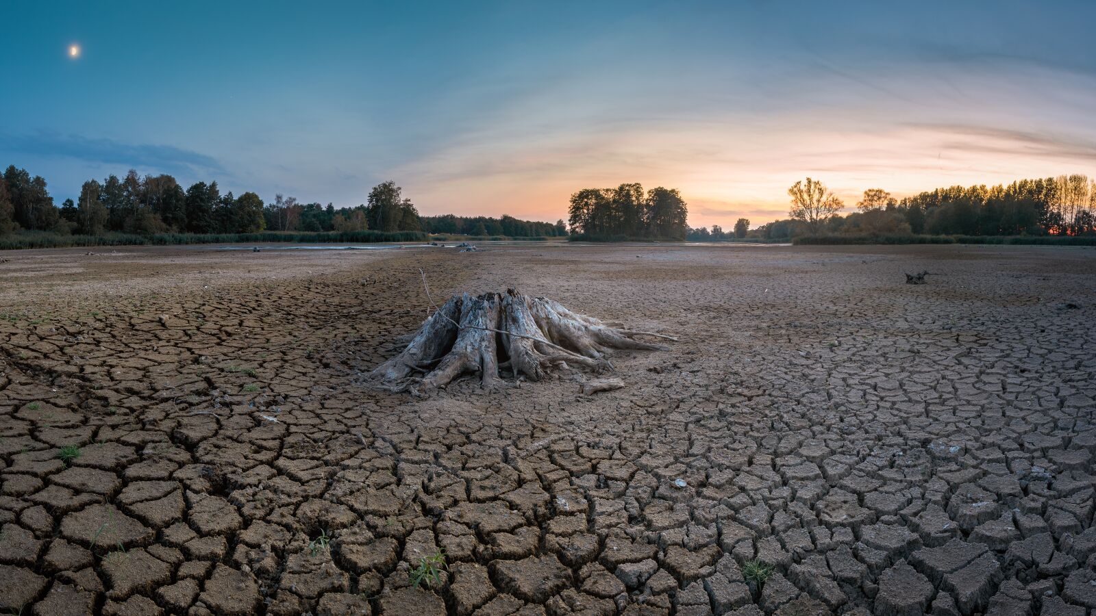 Nikon D7200 sample photo. Drought, cracks, dry photography