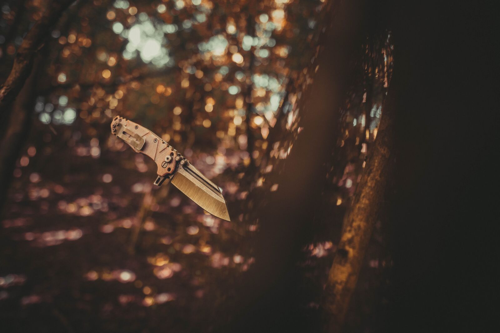 Sony a6400 + Sigma 16mm F1.4 DC DN | C sample photo. Nature, fire, knife photography