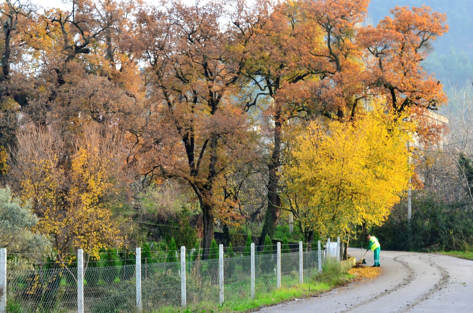 Nikon D5100 sample photo. Autumn, scholarship, doburca photography