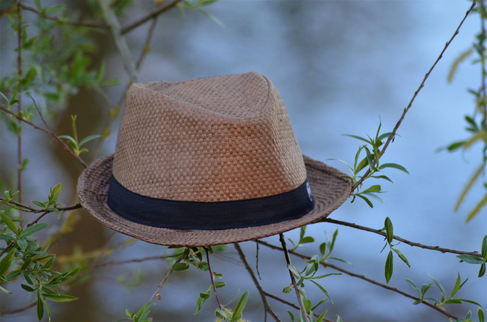 Nikon D5100 sample photo. Straw hat, spring, bremerv photography