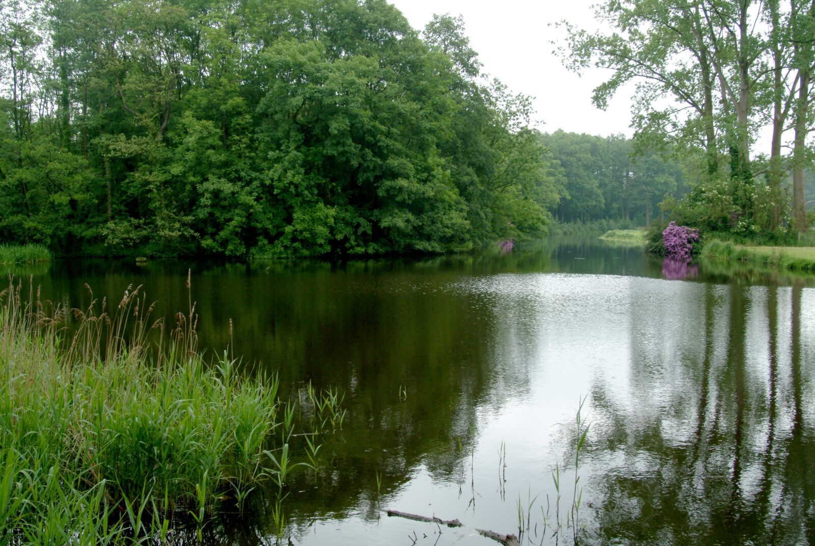Fujifilm FinePix S2 Pro sample photo. Dnkel, twente, river photography
