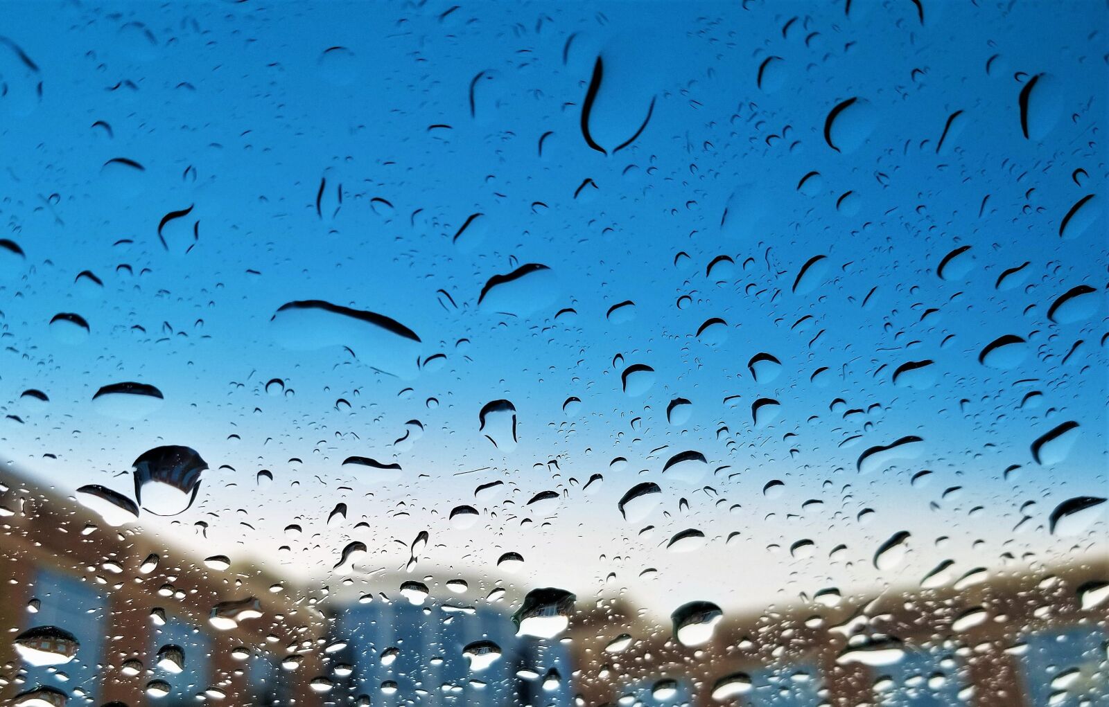 Samsung Galaxy S8 sample photo. Rain, raindrops, drops photography