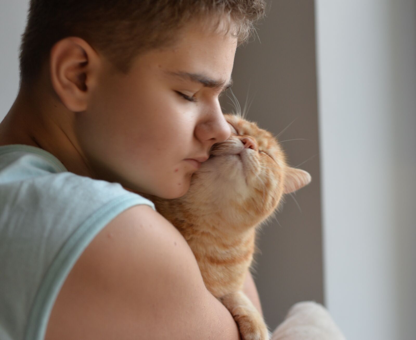 Nikon D610 sample photo. Cat, child, love photography