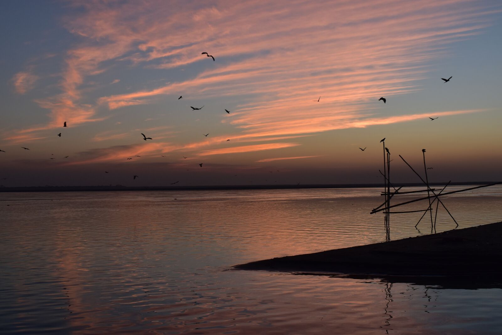 Nikon D5600 sample photo. Sunset, water, silhouettes photography