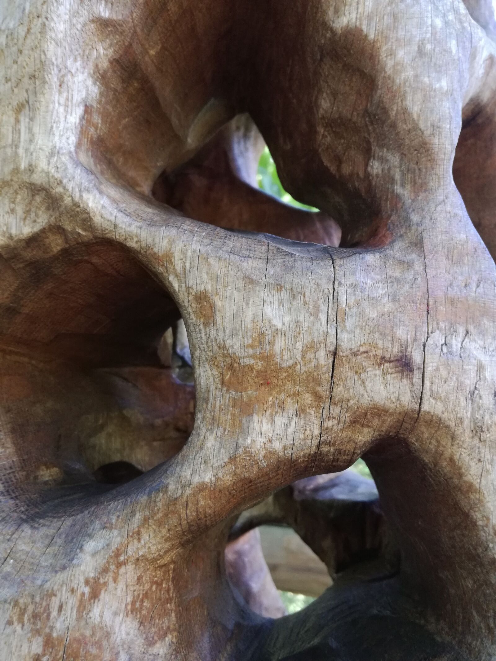 HUAWEI P9 LITE sample photo. Tree, hole, nature photography