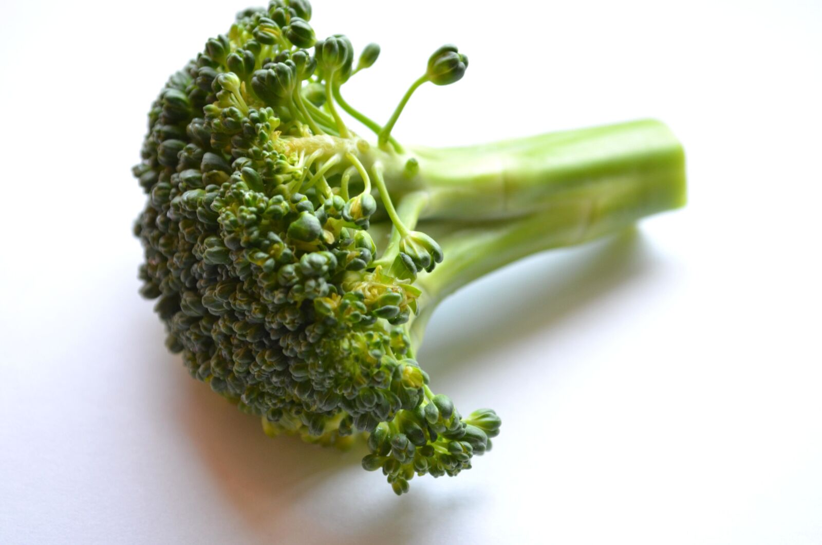 Nikon D5100 sample photo. Broccoli, green, vegetable, food photography
