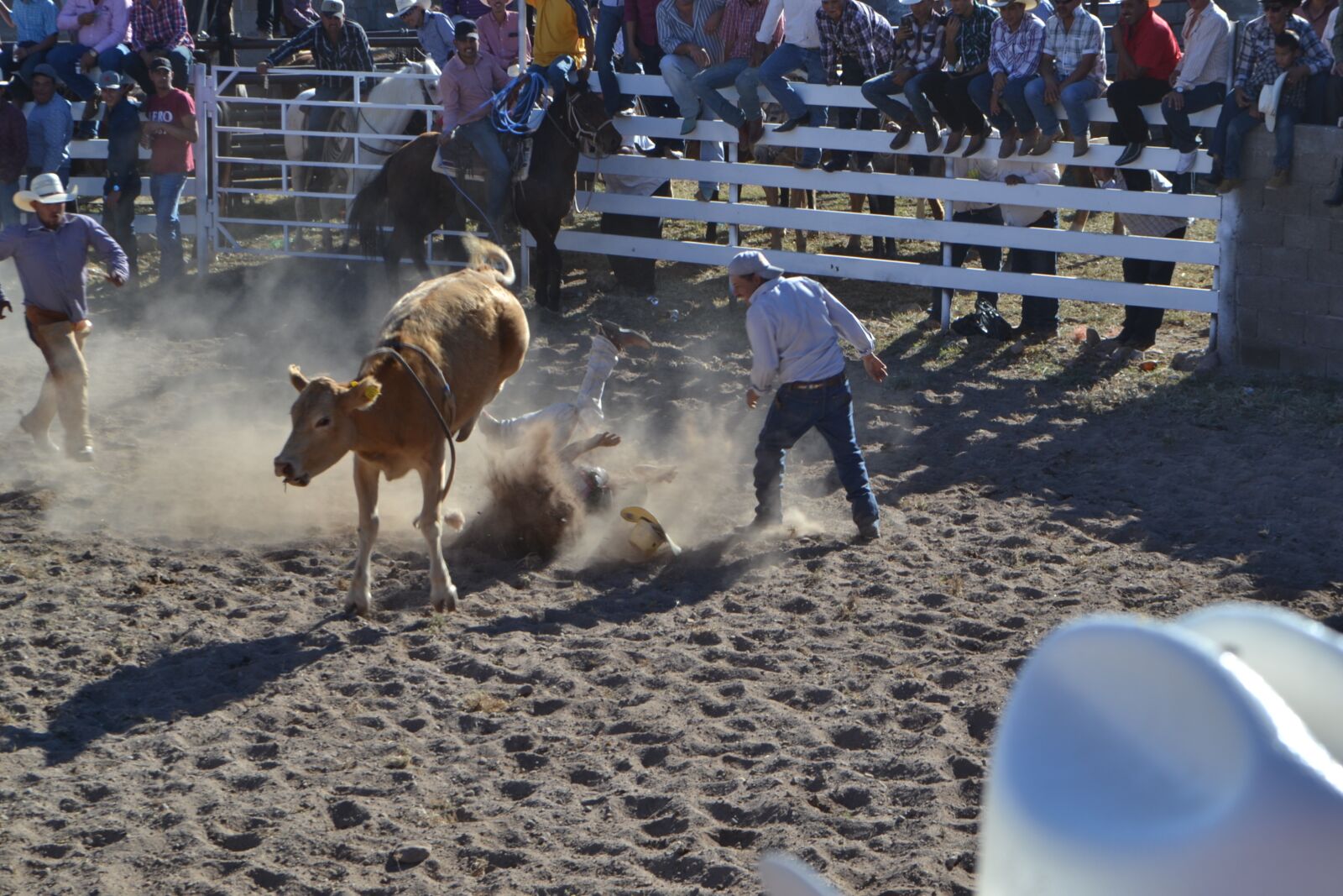 Nikon D3100 sample photo. Rodeo, fall, dust photography