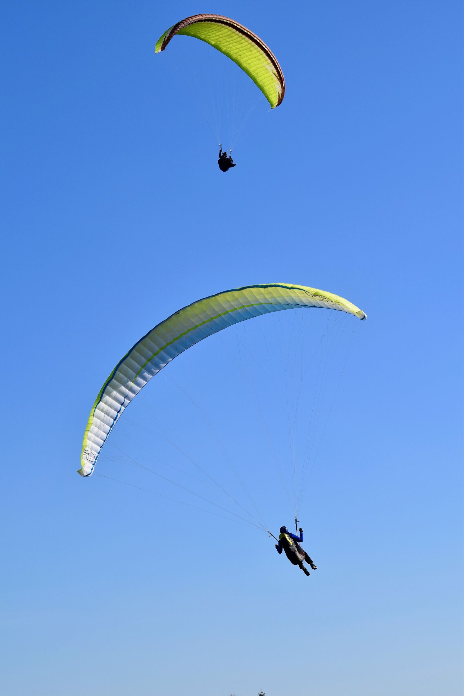 Nikon D5600 sample photo. Paragliding, paraglider, sails photography