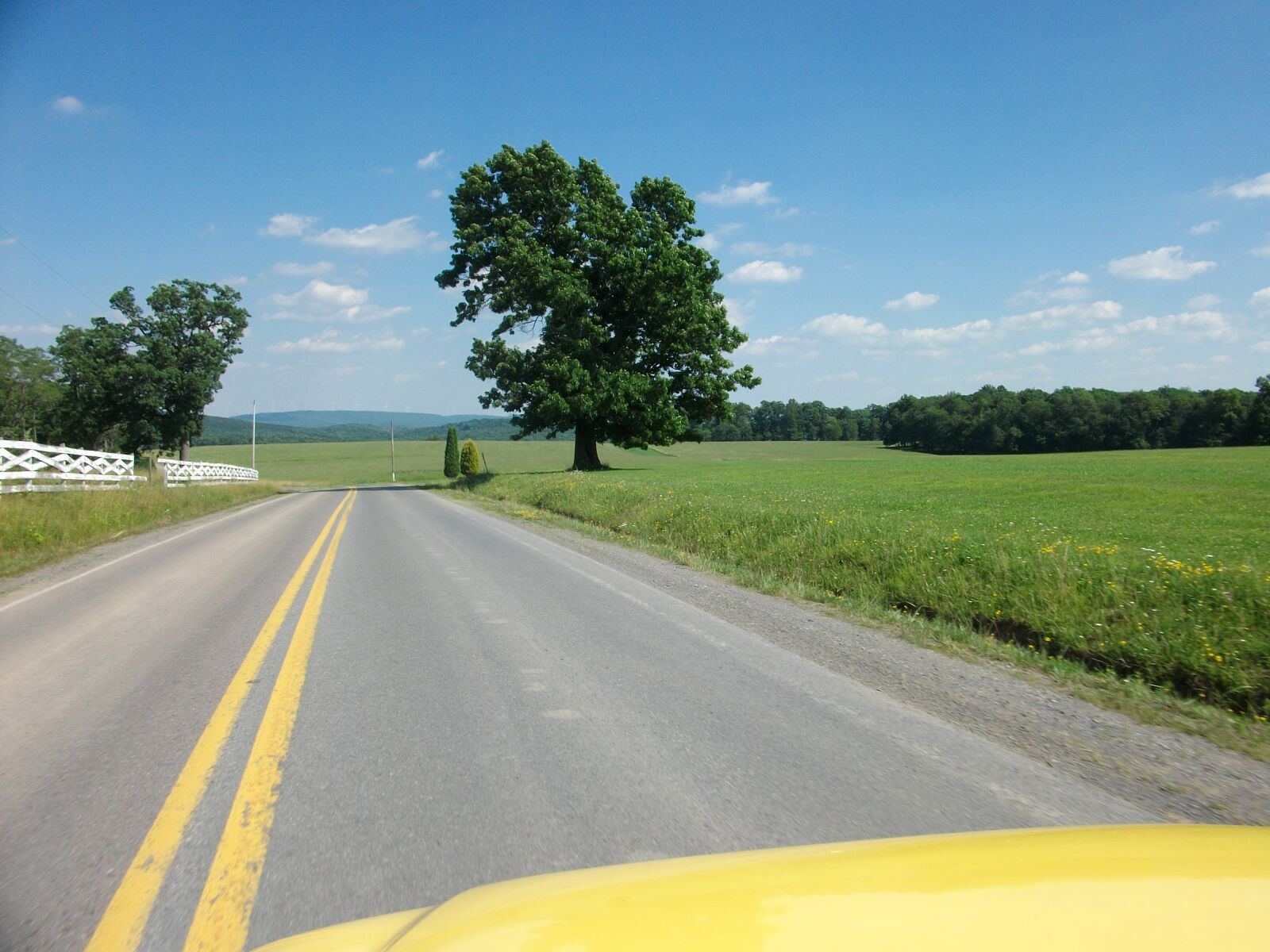 SANYO S1275 sample photo. Bluesky, driving, green, green photography