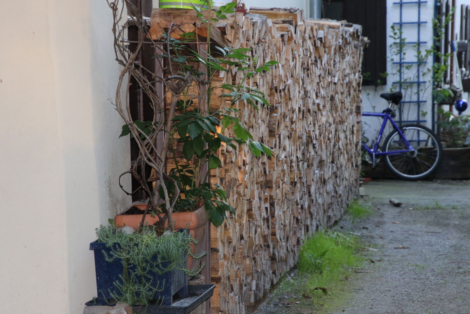 Canon EOS 7D Mark II sample photo. Bicycle, collect, fire, garden photography