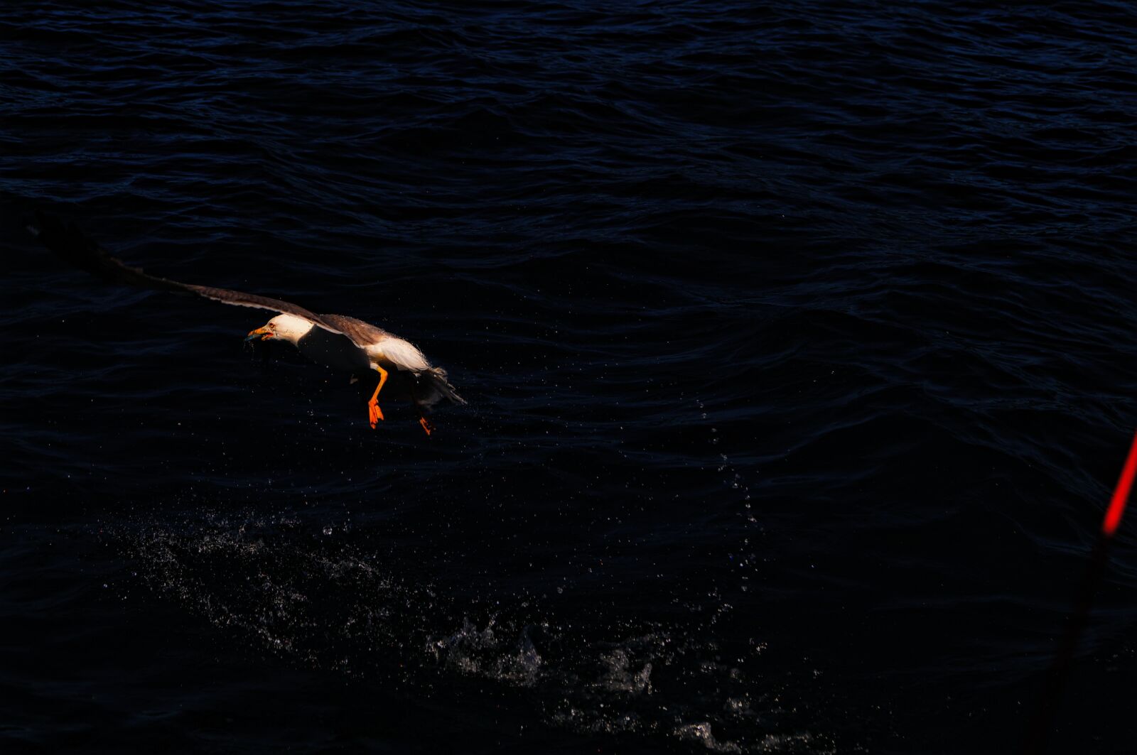 Sony SLT-A37 sample photo. Gocek, boat, type photography
