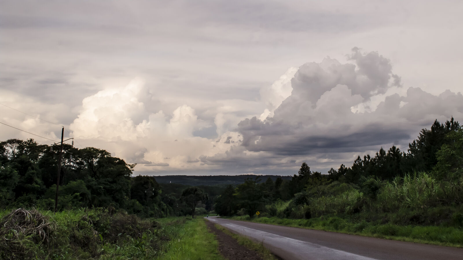 Nikon D5100 sample photo