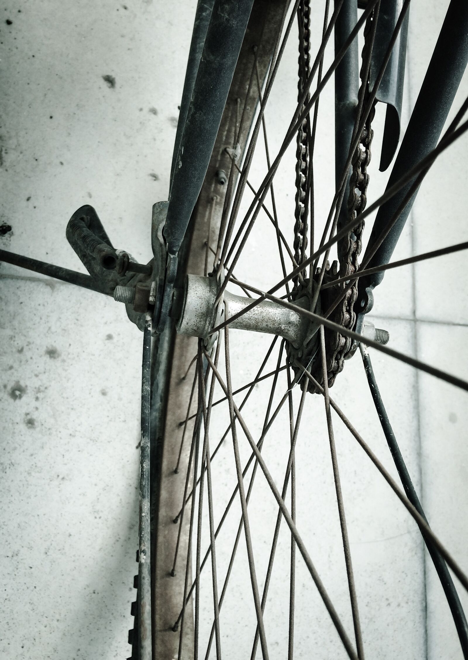 Apple iPhone 5s sample photo. Cycle, wheel, rust, wires photography