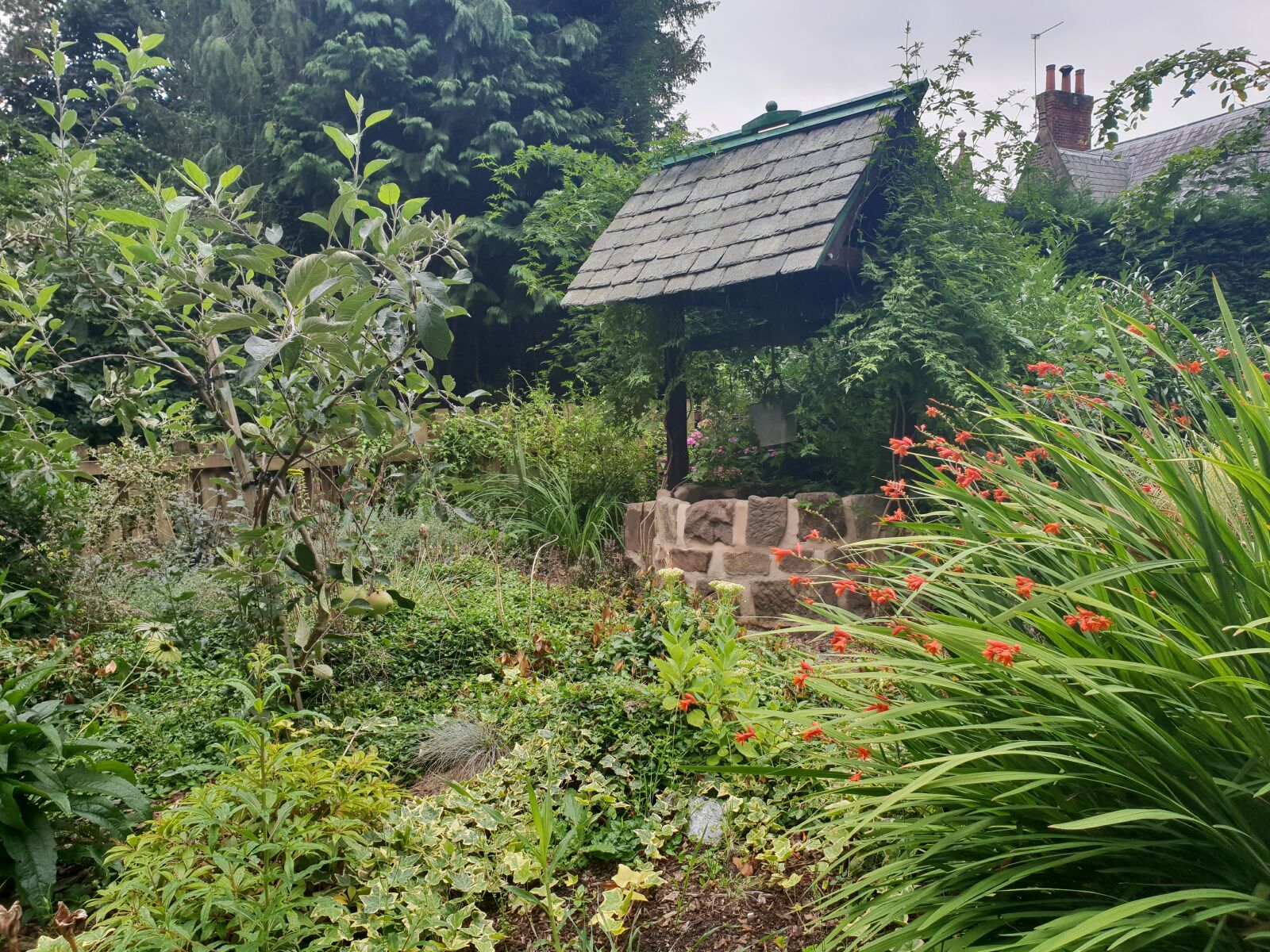 Samsung Galaxy S9+ sample photo. Well, garden, wellness photography